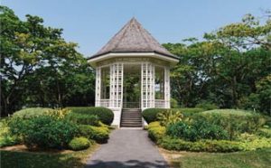 bukit-timah-singapore-botanic-garden